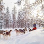 My Soulful Finland Itinerary For 5 Days: A Escape from City Buzz to Snow-Cracked Silence