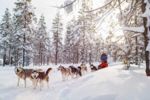 Read more about the article My Soulful Finland Itinerary For 5 Days: A Escape from City Buzz to Snow-Cracked Silence